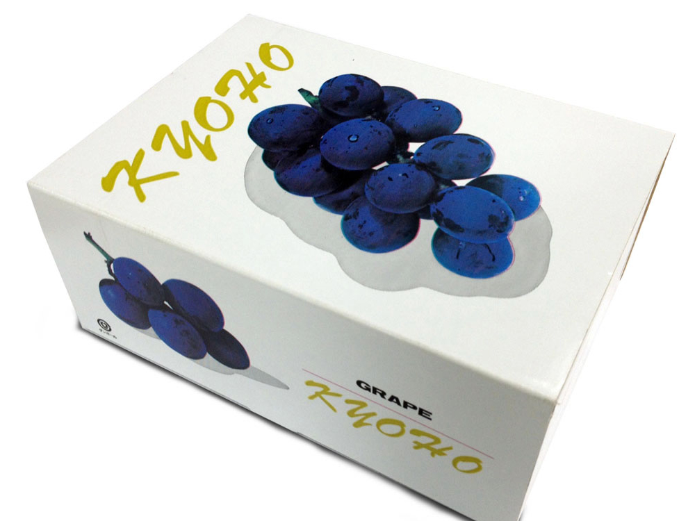 巨峰　出品　13個 種なし巨峰 | ぶどう | 【公式】JAふくおか八女オンライン直売所・八女